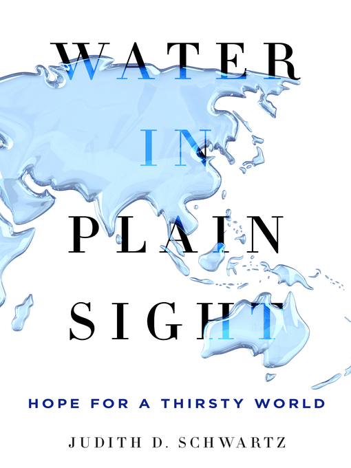 Title details for Water in Plain Sight by Judith D. Schwartz - Wait list